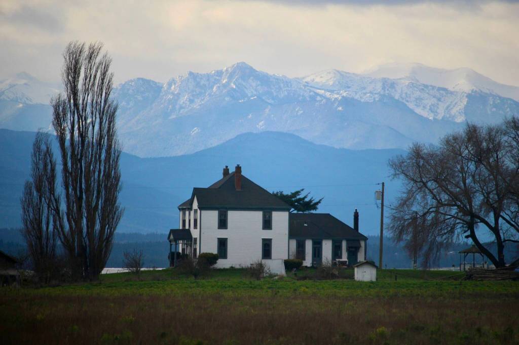 Photo by Marina Blatt