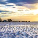 photo provided willowood farm