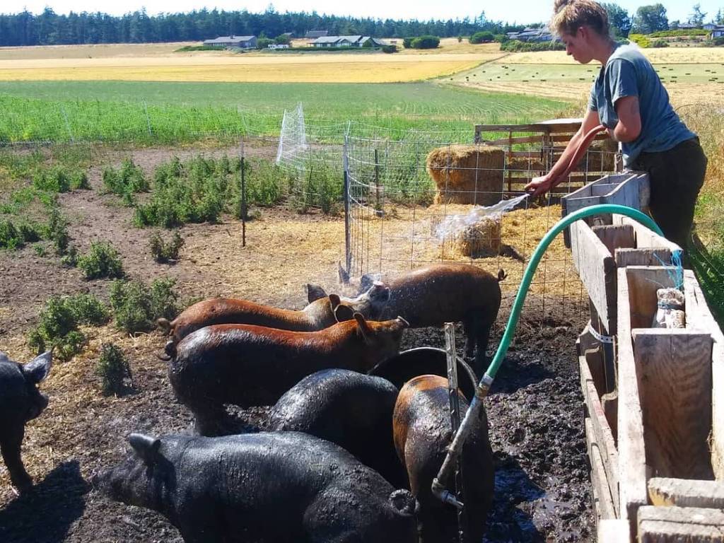 photo provided willowood farm