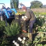 photo provided willowood farm