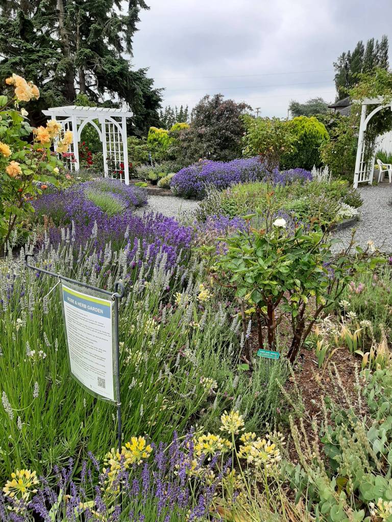 Courtesy photo
The Master Gardener Education Garden at the Greenbank Farm is a group of nine gardens that helps inspire gardeners of all levels about the vegetation that thrives on Whidbey Island.