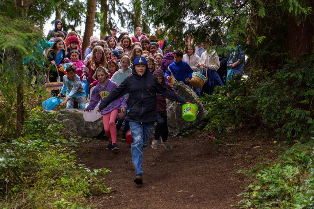 Photo by David Welton. Kids scavenged the forest at Dan Porter Park hoping to find eggs full of candy and tickets. This year the Clinton egg hunt will take place at at the Thirsty Crab Brewery and Event Space.