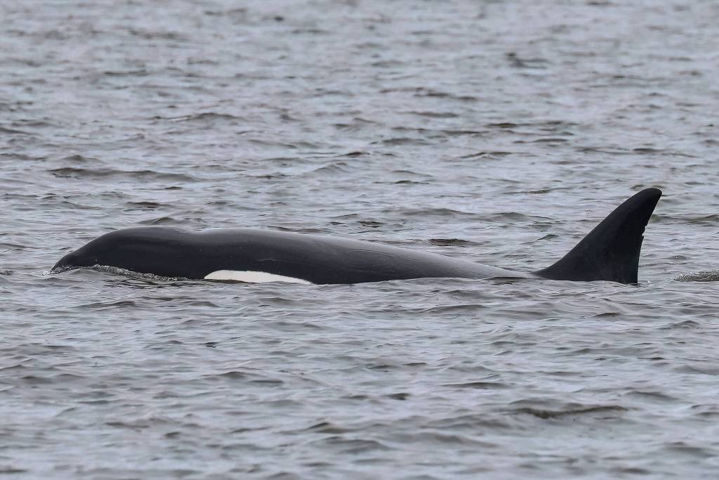 Photo by Sarah Geist