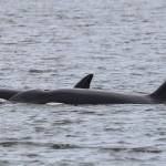 Photo by Sarah Geist