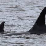 Photo by Sarah Geist