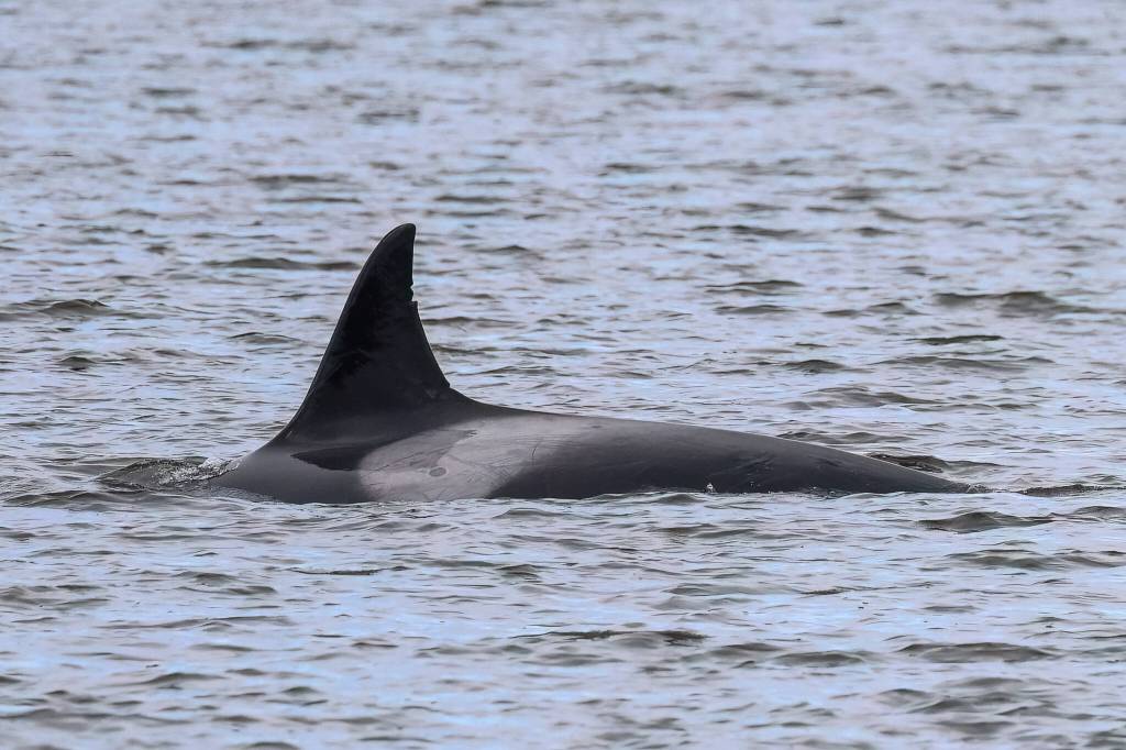 Photo by Sarah Geist