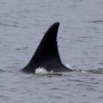 Photo by Cindi Rausch