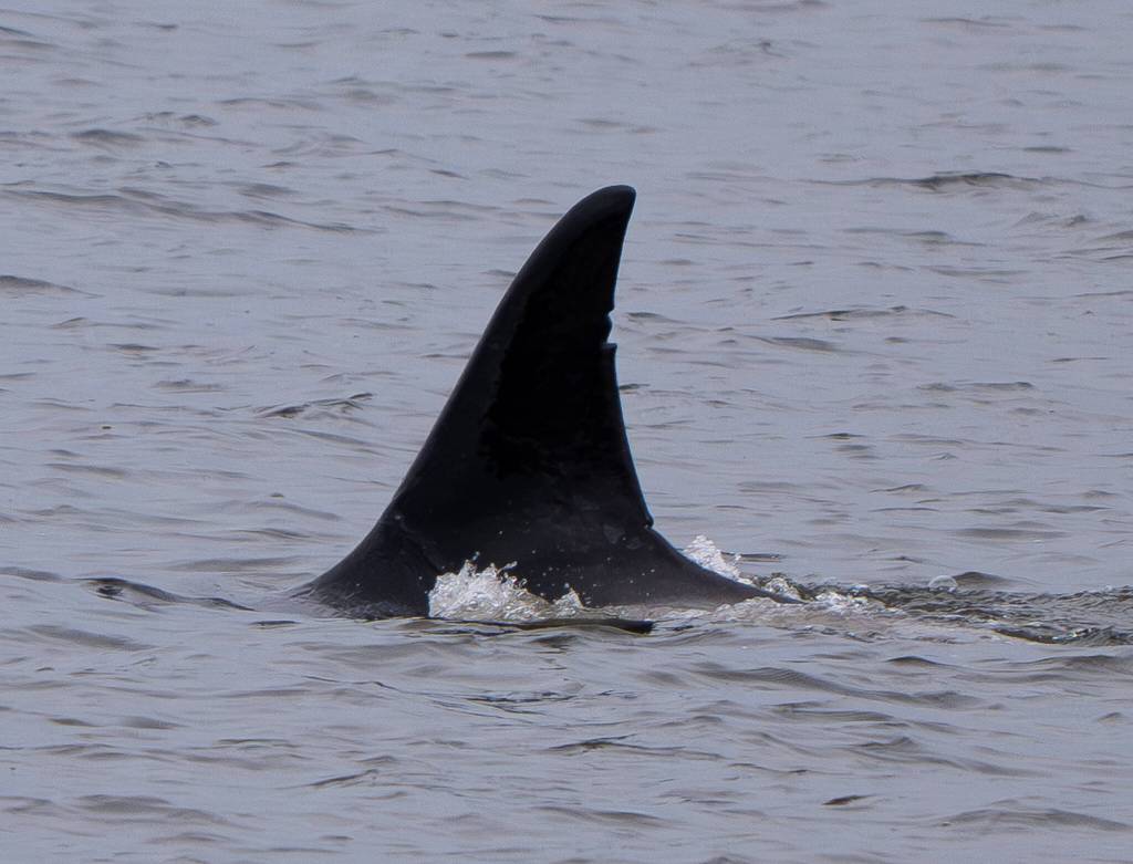 Photo by Cindi Rausch