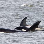 Photo by Cindi Rausch