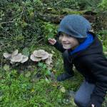 Photo provided. Landon Prince Charles Hutcherson likes eating candied mushrooms, or maybe turkey tail fungi if hes feeling adventurous.