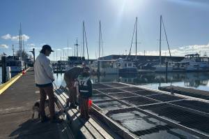 Photo by Allyson Ballard. Community members learned about rearing salmon and the legend behind the Coho salmons hooked nose at a recent feeding.