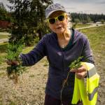 Photo by David Welton