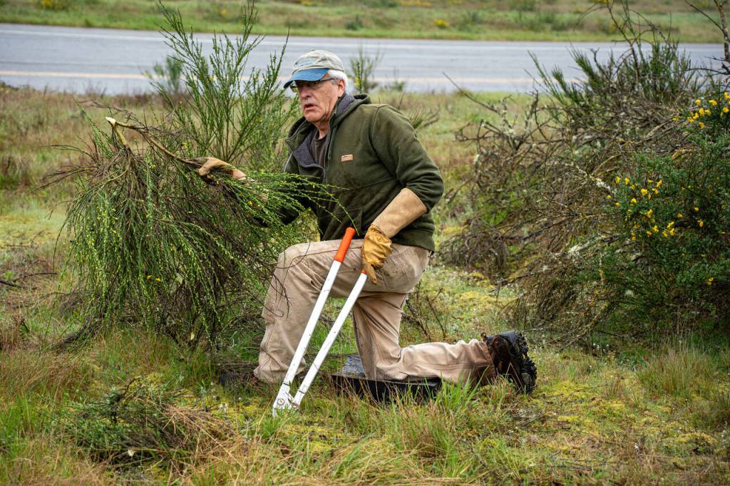 Photo by David Welton