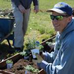 Photo by Allyson Ballard
Gardeners planted an array of vegetables and herbs.