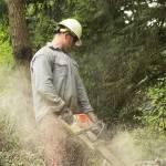 Photo by Allyson Ballard
Chainsaws helped clear overgrowth around homes.