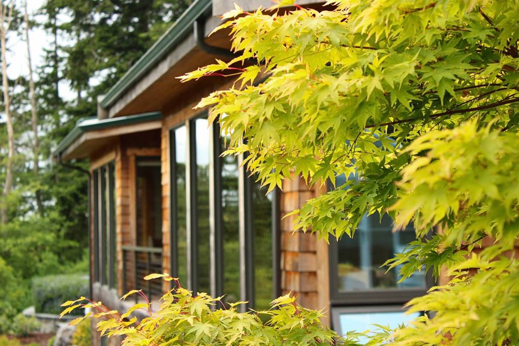 (Photo by Allyson Ballard) Strategic placement of plants on the property creates a sense of privacy without making the space feel too closed off.