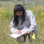 (Photo by Marina Blatt) Lana Rasmussen, a restoration ecologist at Pacific Rim Institute, said volunteers can play a meaningful role in restoring native habitat.