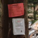Photo by Allyson Ballard. Notices posted on a tree on the property indicate that the scene is still unsafe.