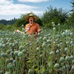 Photo by David Welton
As a student at the Organic Farm School, Holton learned how to make business connections with seed companies and grow his own seed crops.