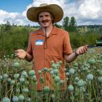 Photo by David Welton
Organic Farm School graduate Kevin Holton aims to create a stronger, more diverse food system that gives greater power to farmers through his work with seeds.
