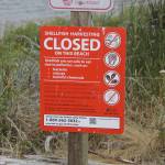 Photo by Cassandra Diamond
Holmes Harbor is closed to butter and varnish clam harvesting due to the prescence of marine biotoxins.